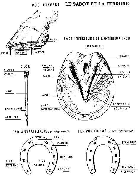 sabot et fers - guide FFE 1 fer -