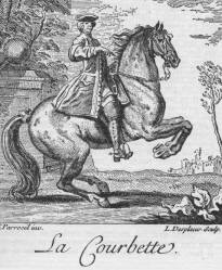 La courbette