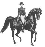 L'hotte  cheval