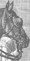 arnachement, bridon, mors, etc