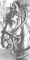 arnachement, bridon, mors, etc