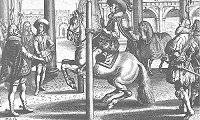 de la lecon au cheval monte