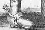 eperons