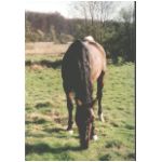 S_sieg-maahat.html