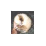furetenroule1.html