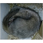 naissance-expulsion.html