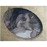 naissance-repos.html