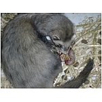 naissance-toilette2.html