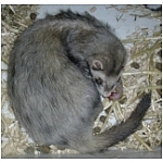 naissance-toilette.html
