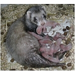 naissance-tous.html