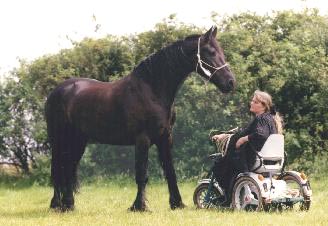 Silke Vallentin & Biko