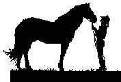 horsemanship