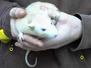 image008.html